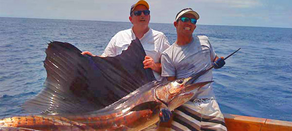Sailfish fished with the Alpha Mike Sportfishing Crew in Costa Rica